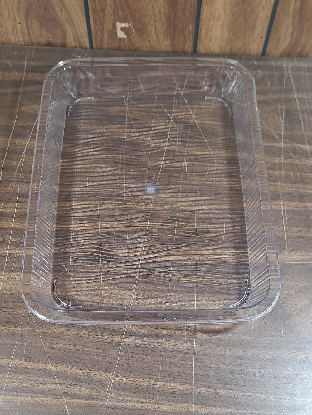 Clear Rectangular Plastic Food Tray